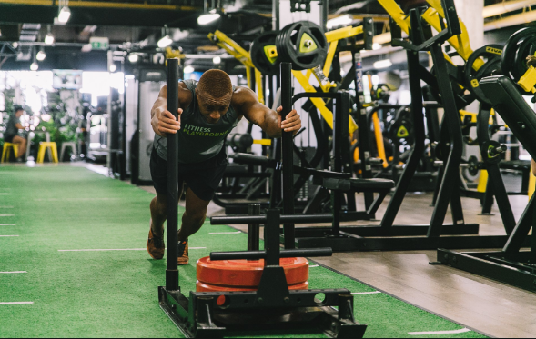 Auckland gyms