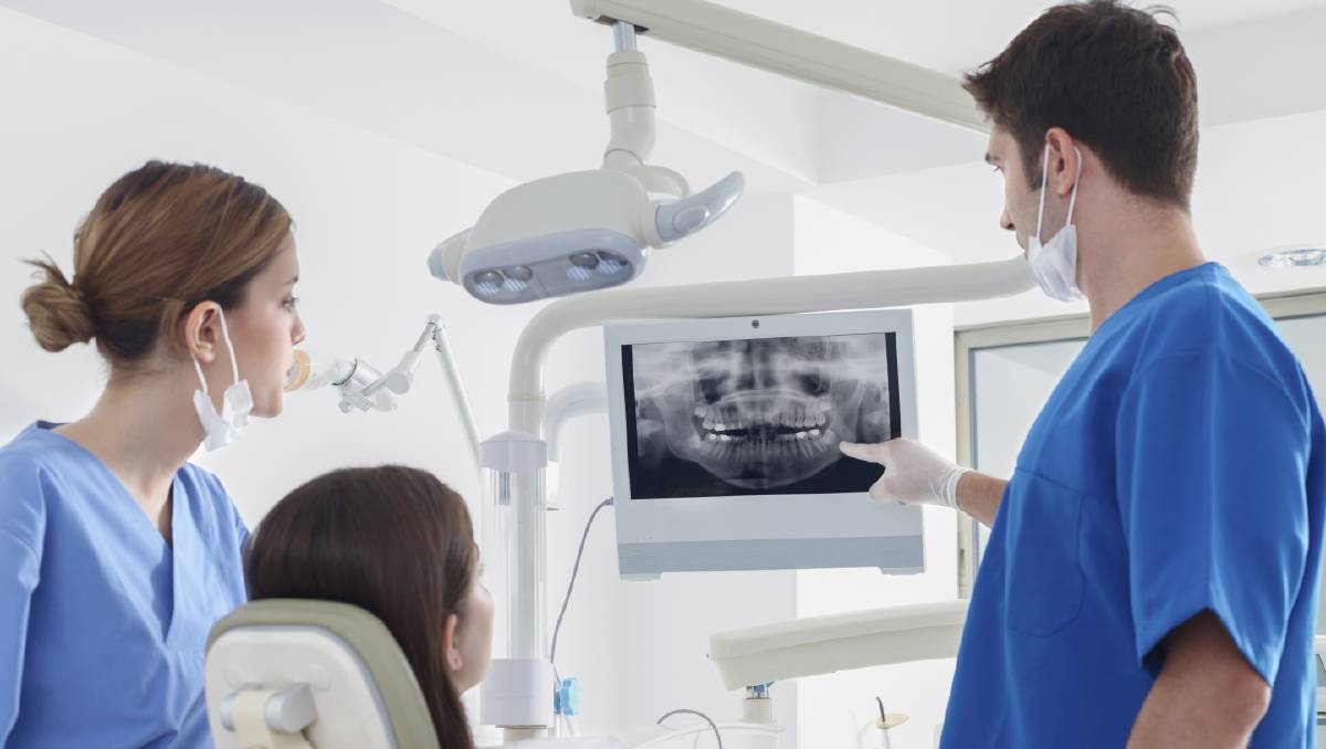 dentists in Taree